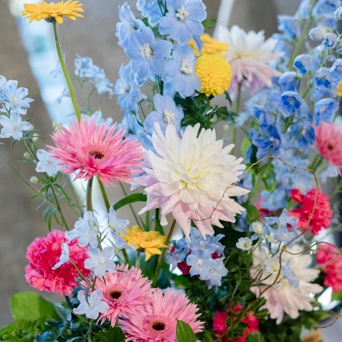 smile_coco_wdさんのカバー画像