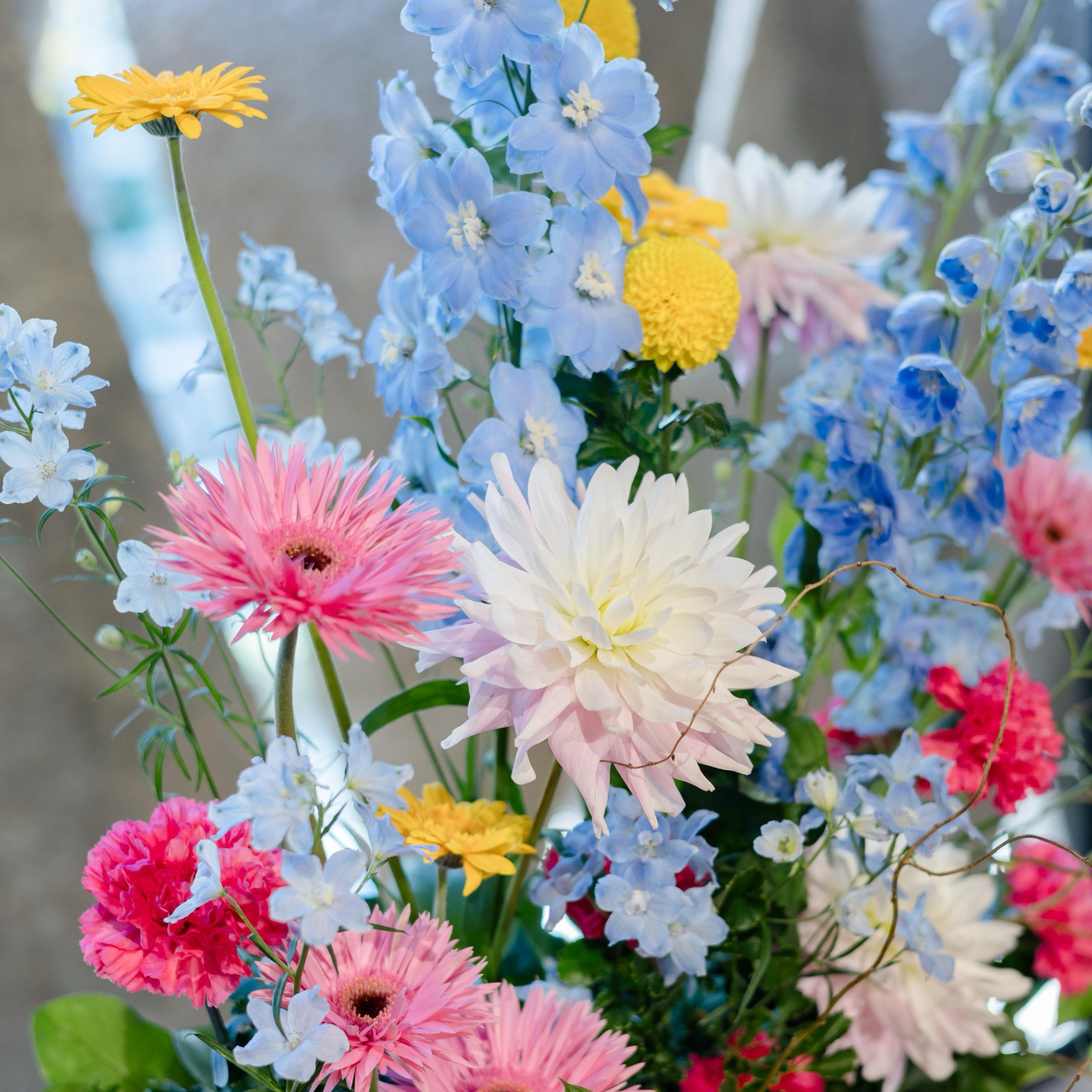 smile_coco_wdさんのカバー画像