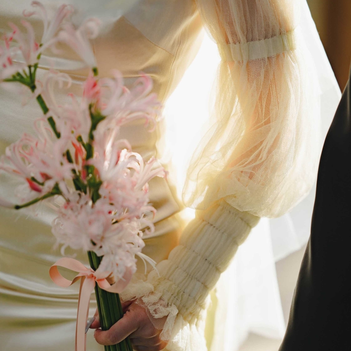 kmmtnkさんのカバー画像