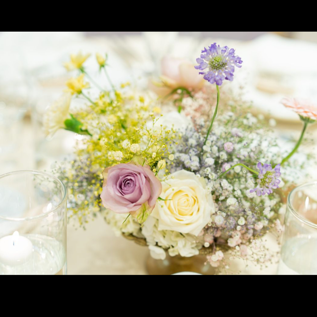 c_chan___o0さんのカバー画像