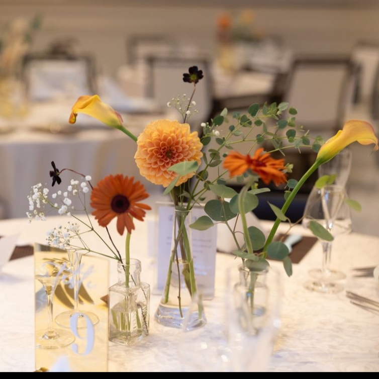 Okayu8さんのカバー画像