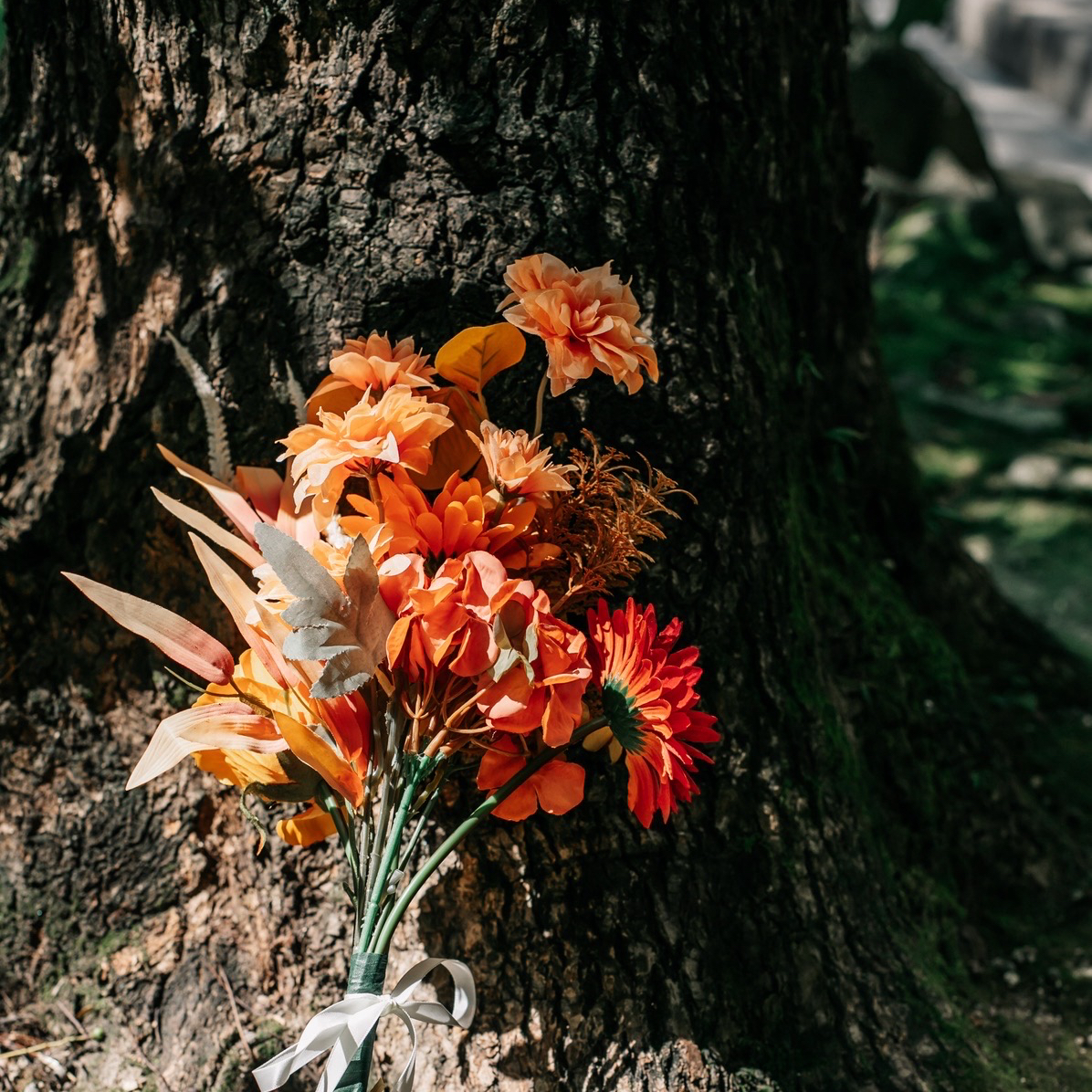 tktktk16gramさんのカバー画像