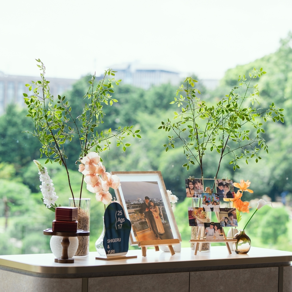 y__wd817さんのカバー画像