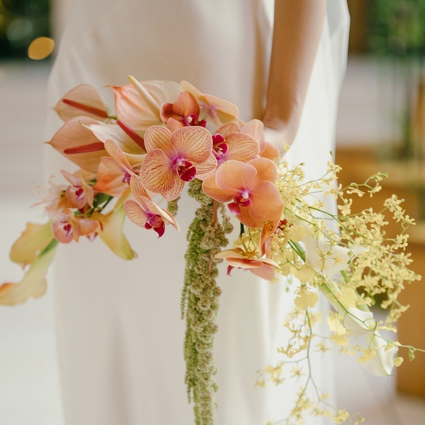 chan95mさんのカバー画像