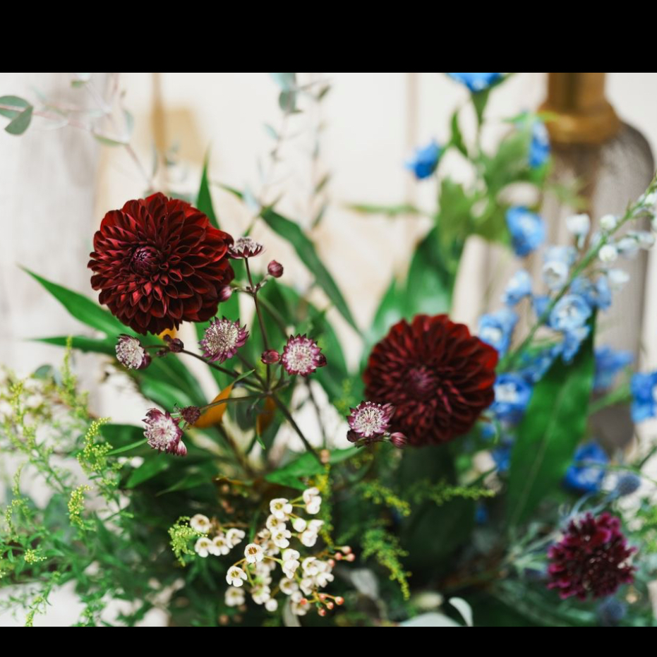 m_t.shizuokaさんのカバー画像