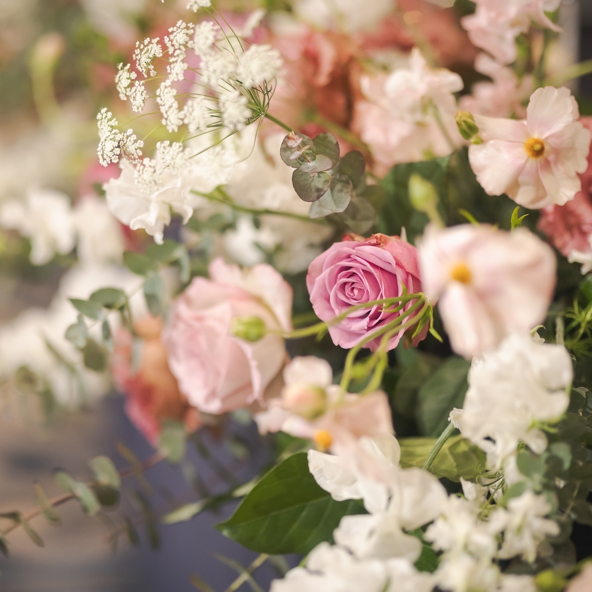 iyika_wd_さんのカバー画像