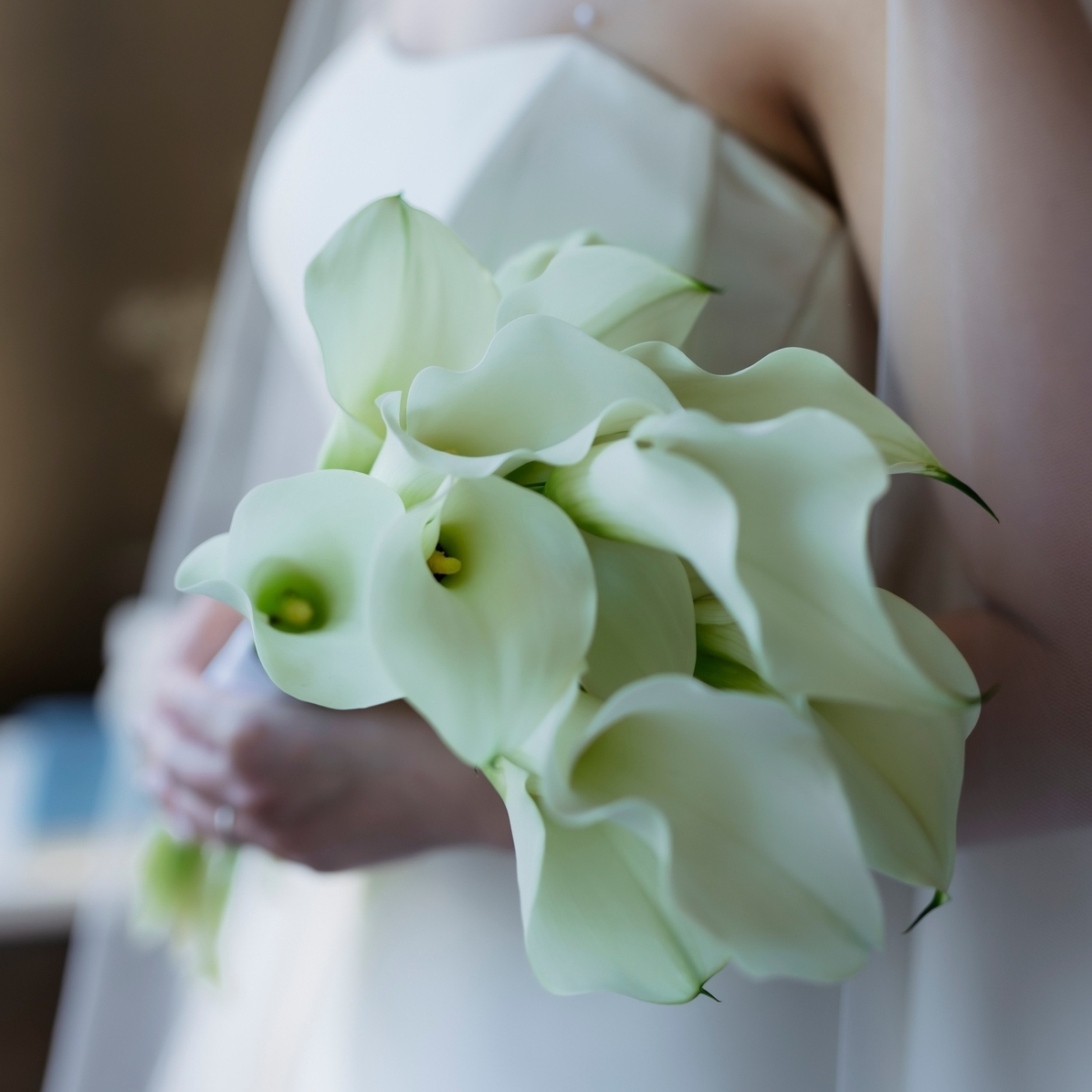 am_wd__さんのカバー画像