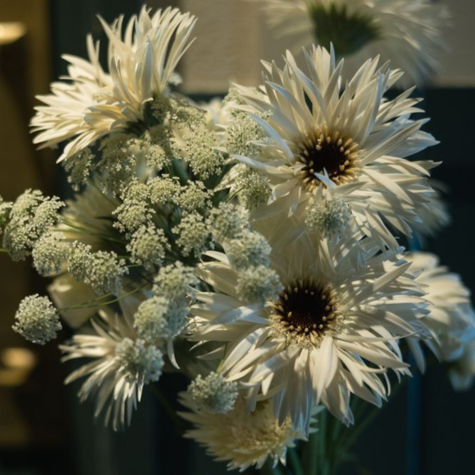 ni.1116さんのカバー画像