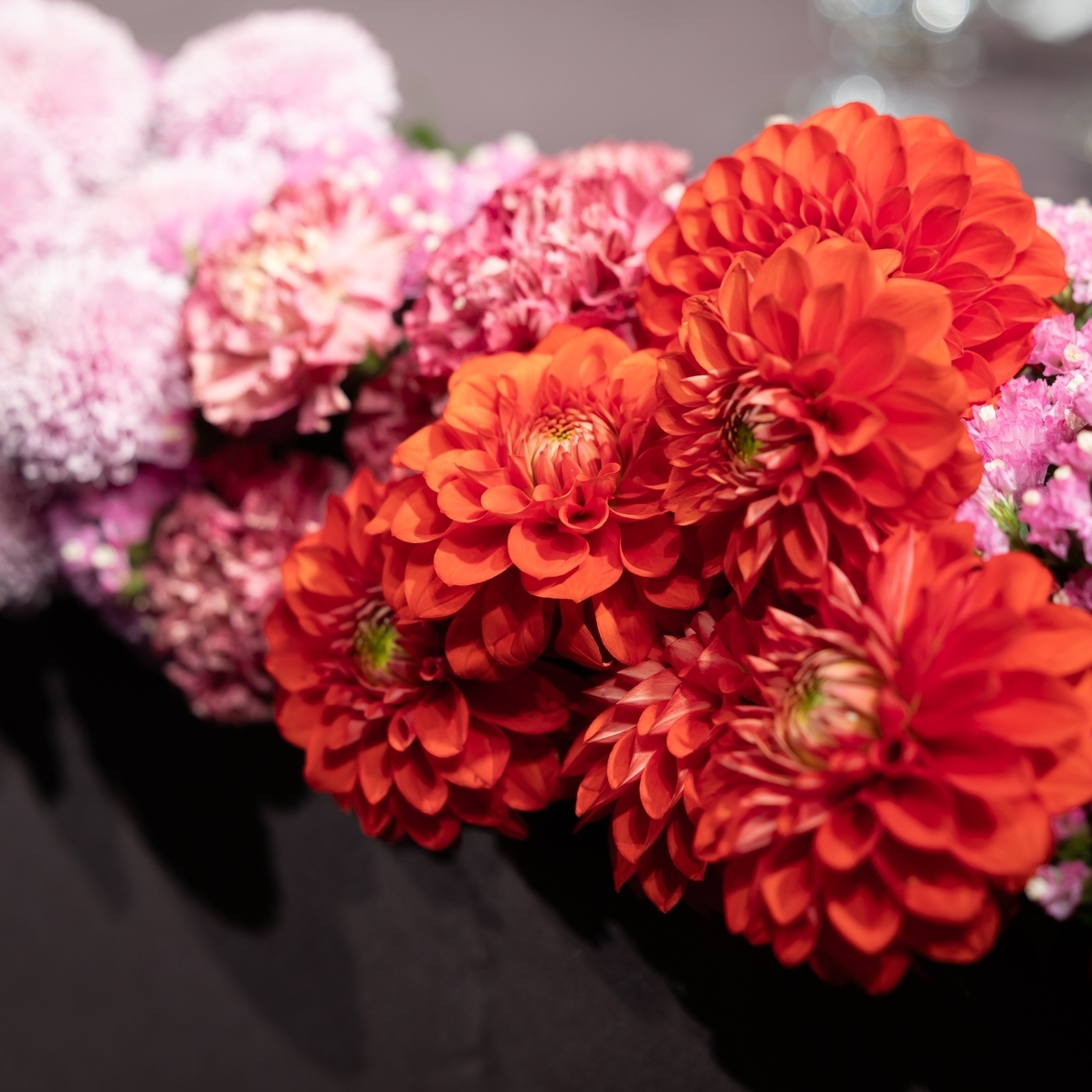 hika__wd_さんのカバー画像