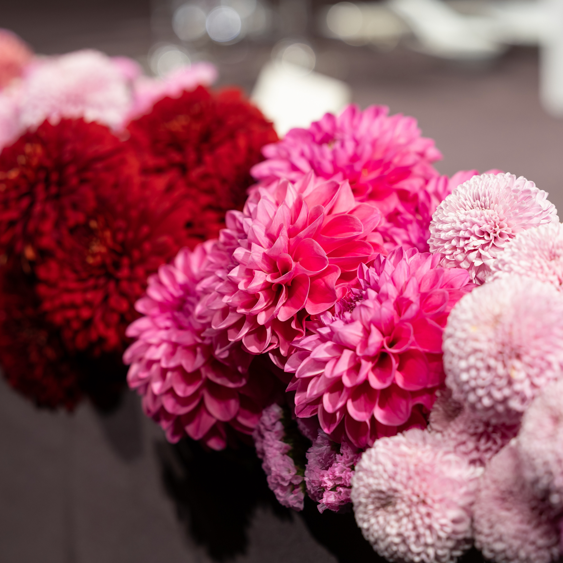 hika__wd_さんのカバー画像