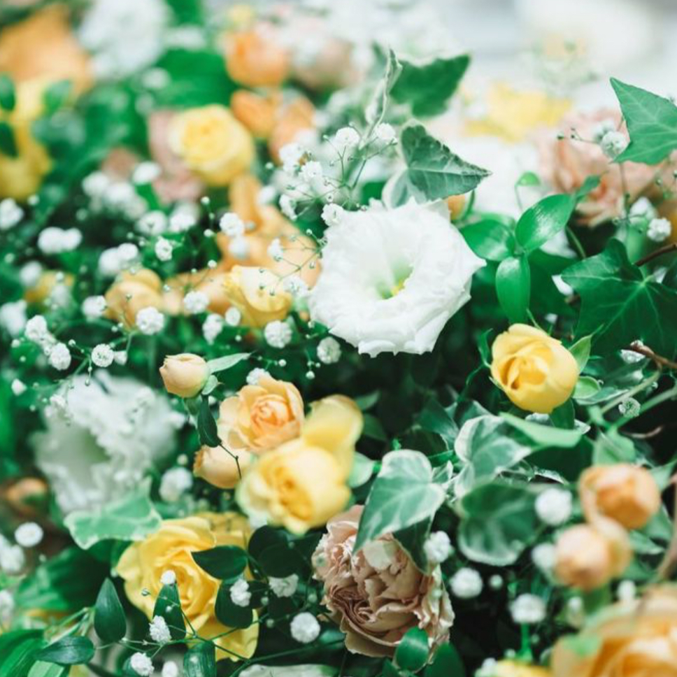 i_am_moepuuchiさんのカバー画像