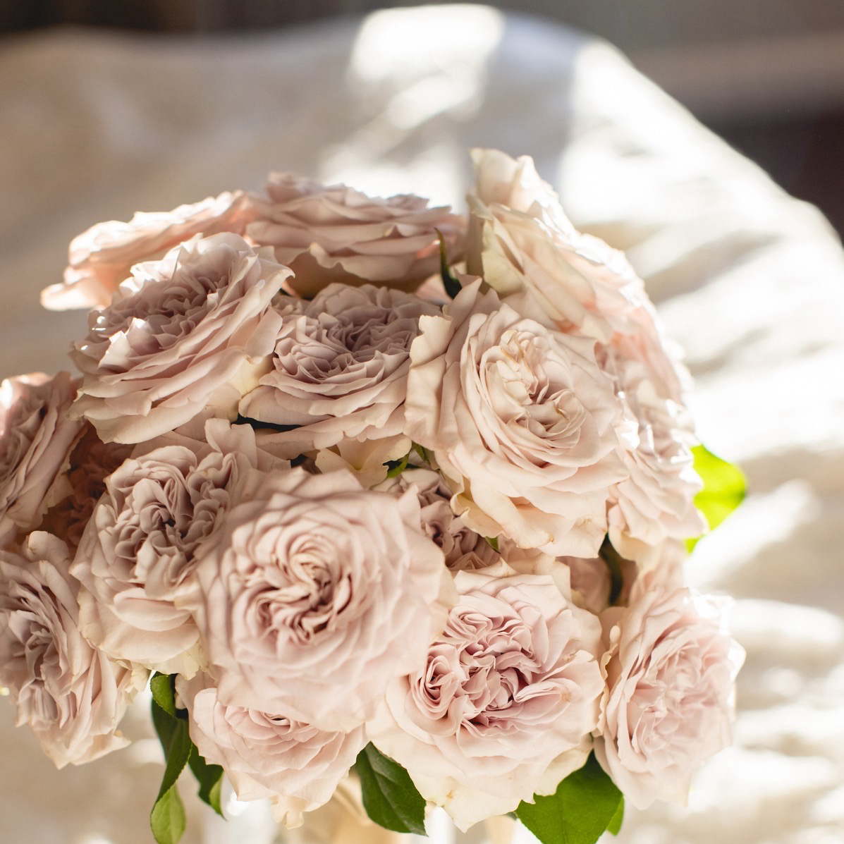 westin_yknさんのカバー画像