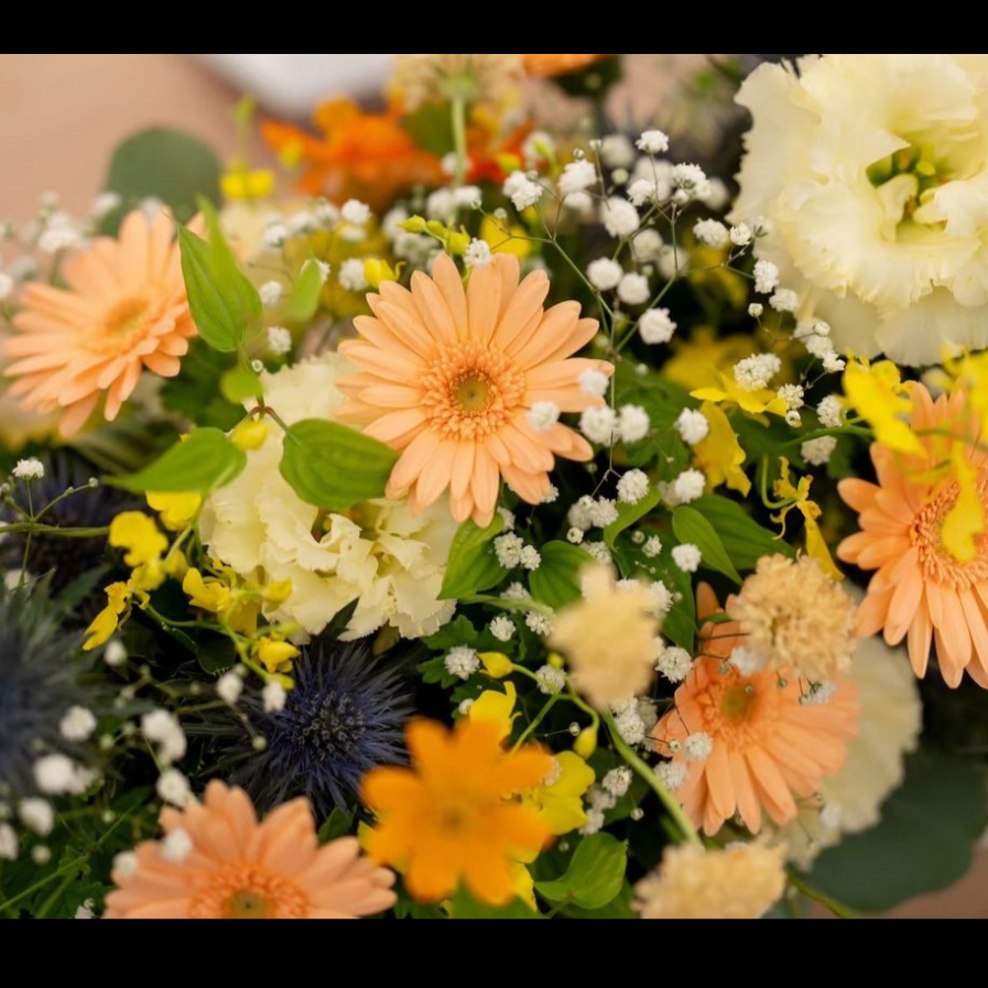 otokiku.8さんのカバー画像