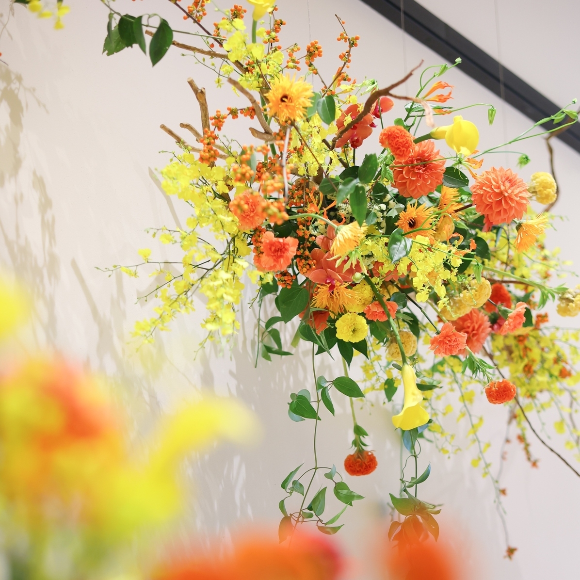 trunk_0923さんのカバー画像