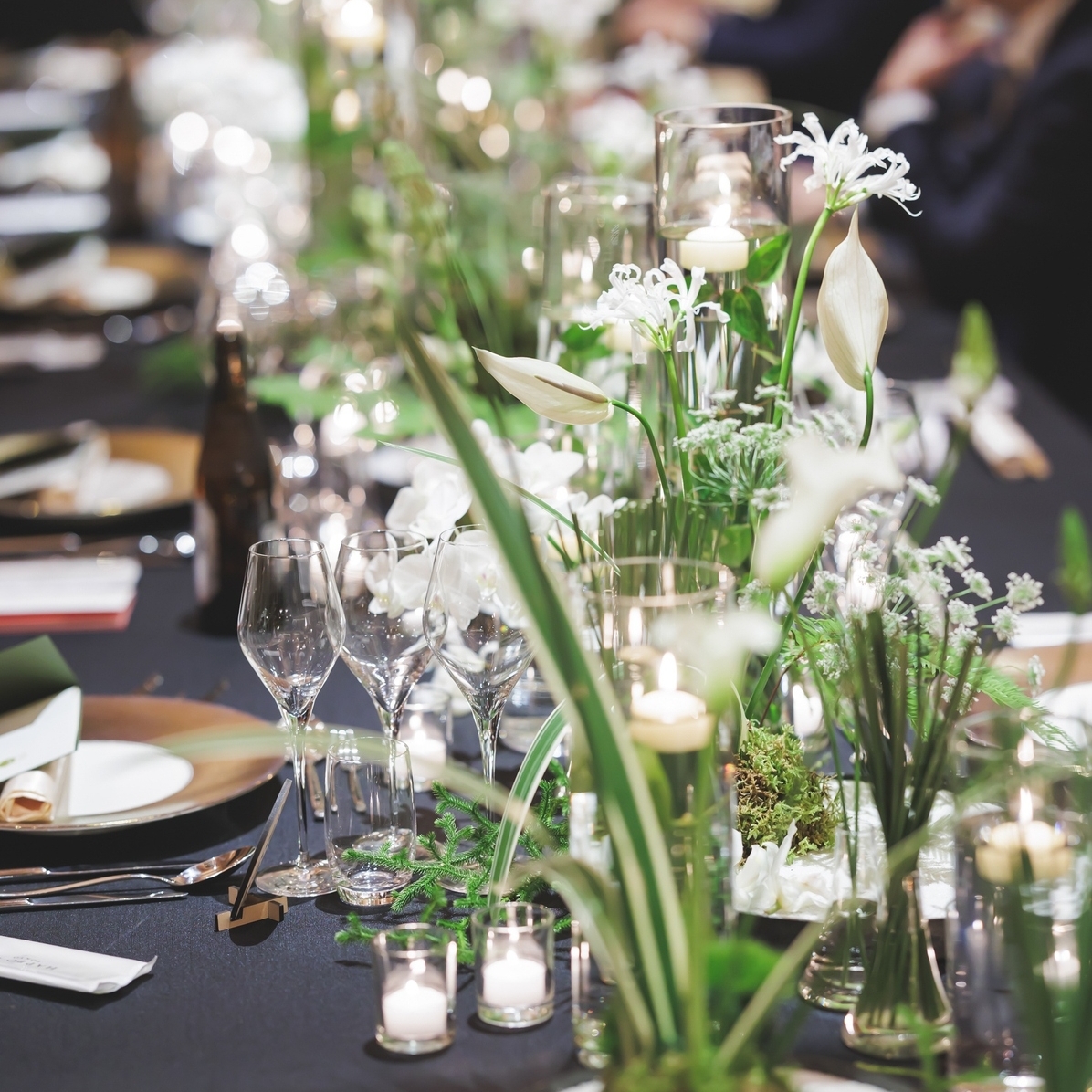 rina.loenaさんのカバー画像