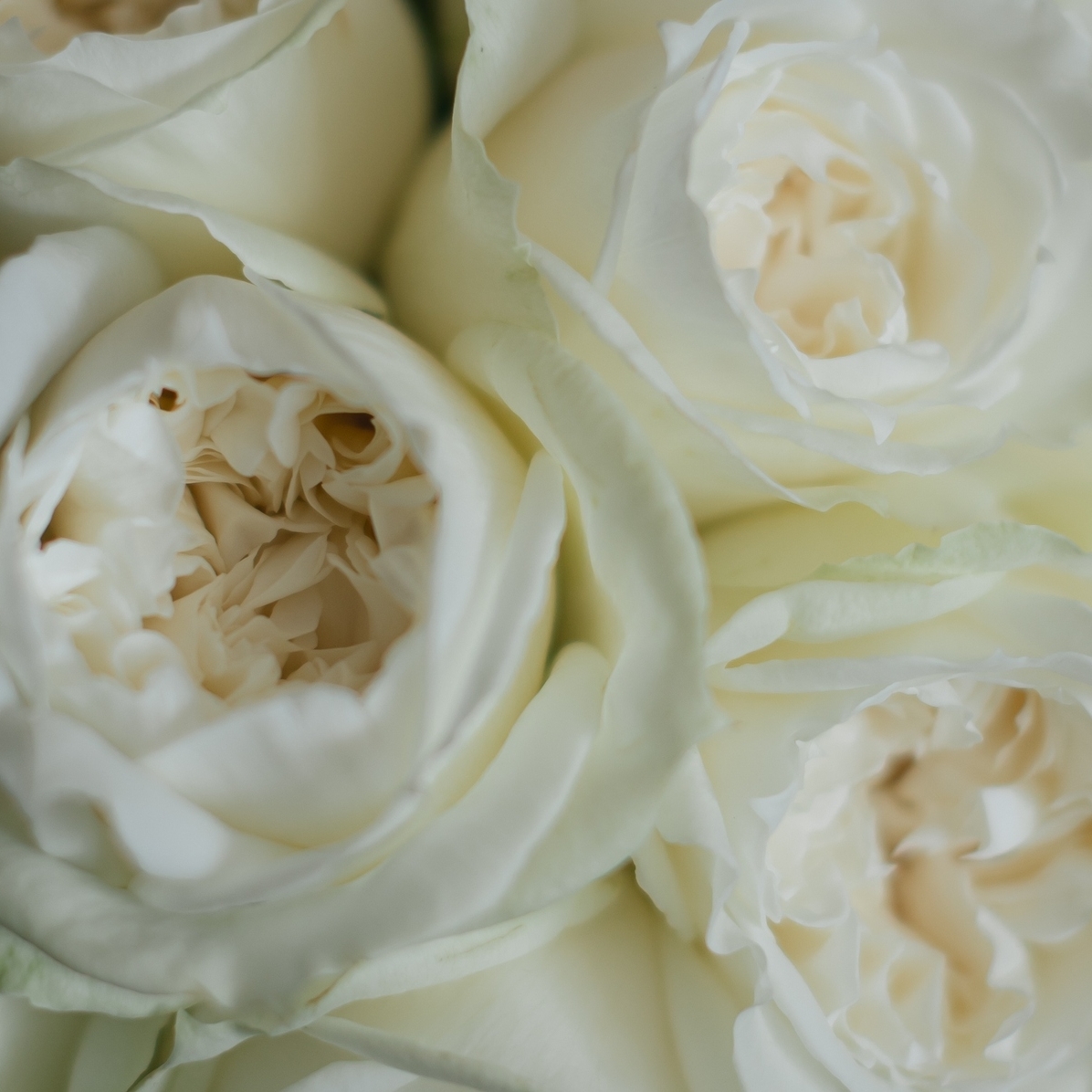 khmk0211さんのカバー画像