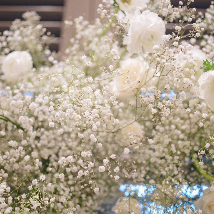 akane_stagram331さんのカバー画像