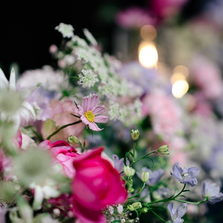 am_17x.x.xさんのカバー画像