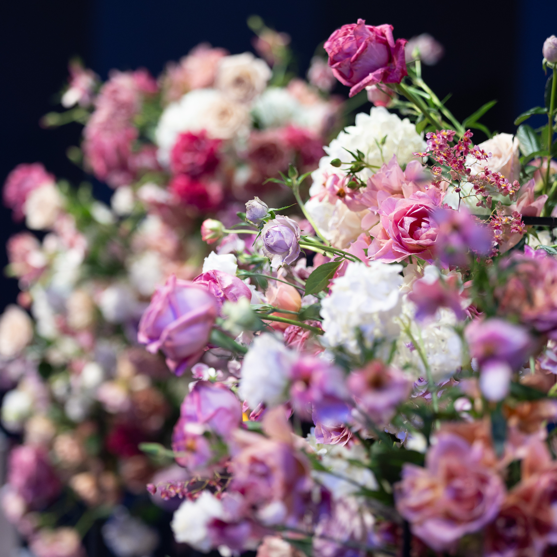 nan__wdさんのカバー画像