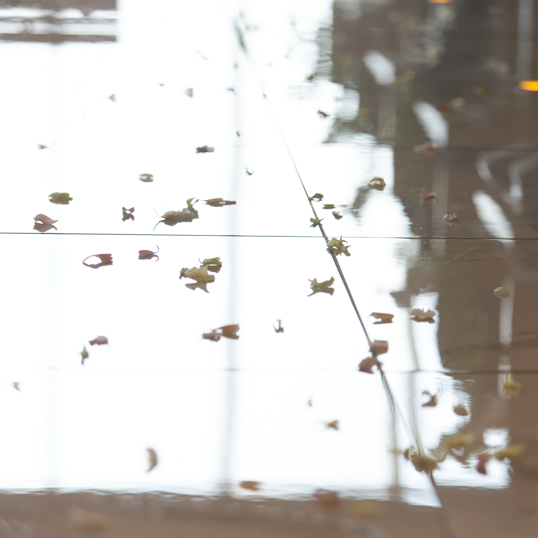 miii_y.wdさんのカバー画像