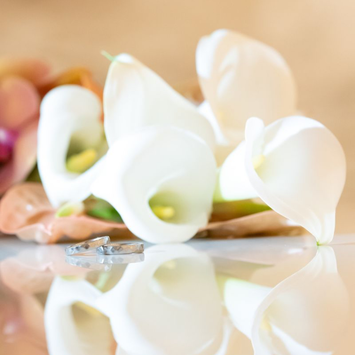 ayano.Hさんのカバー画像