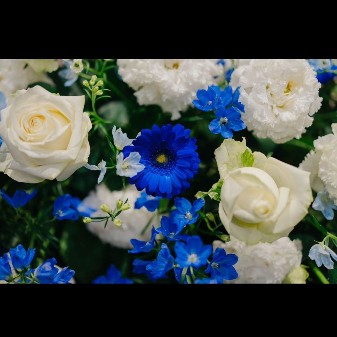 unagiiさんのカバー画像