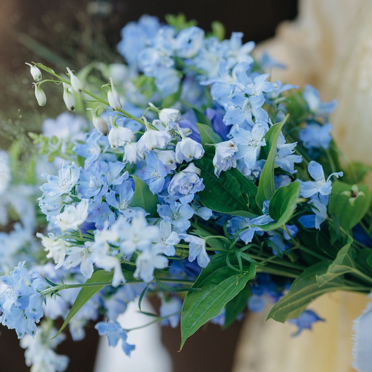 _yuzuringoさんのカバー画像