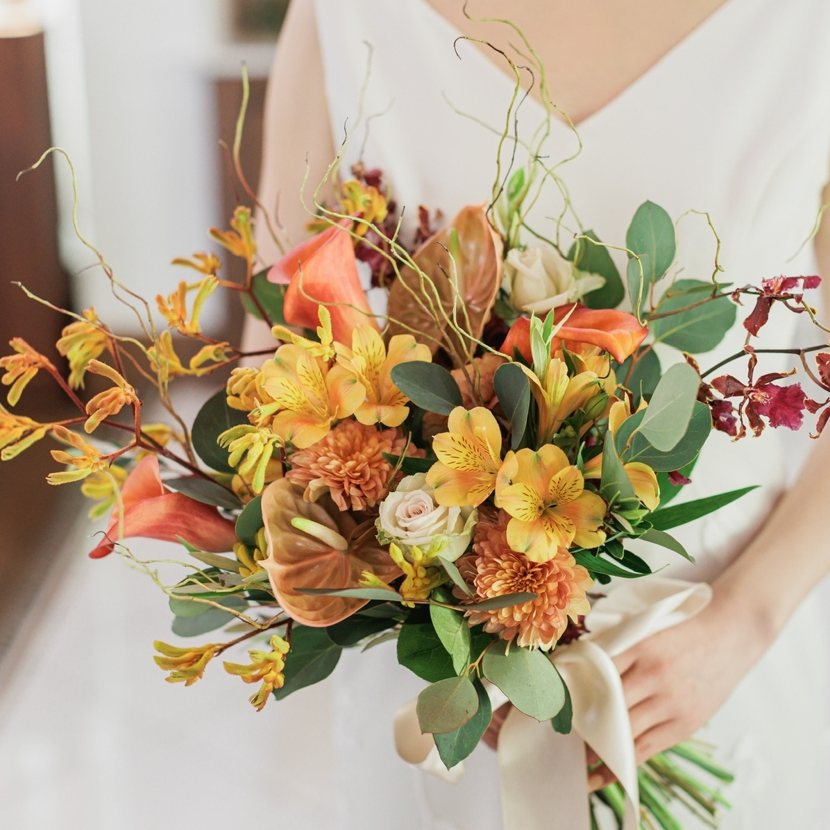 ma_ccoriさんのカバー画像