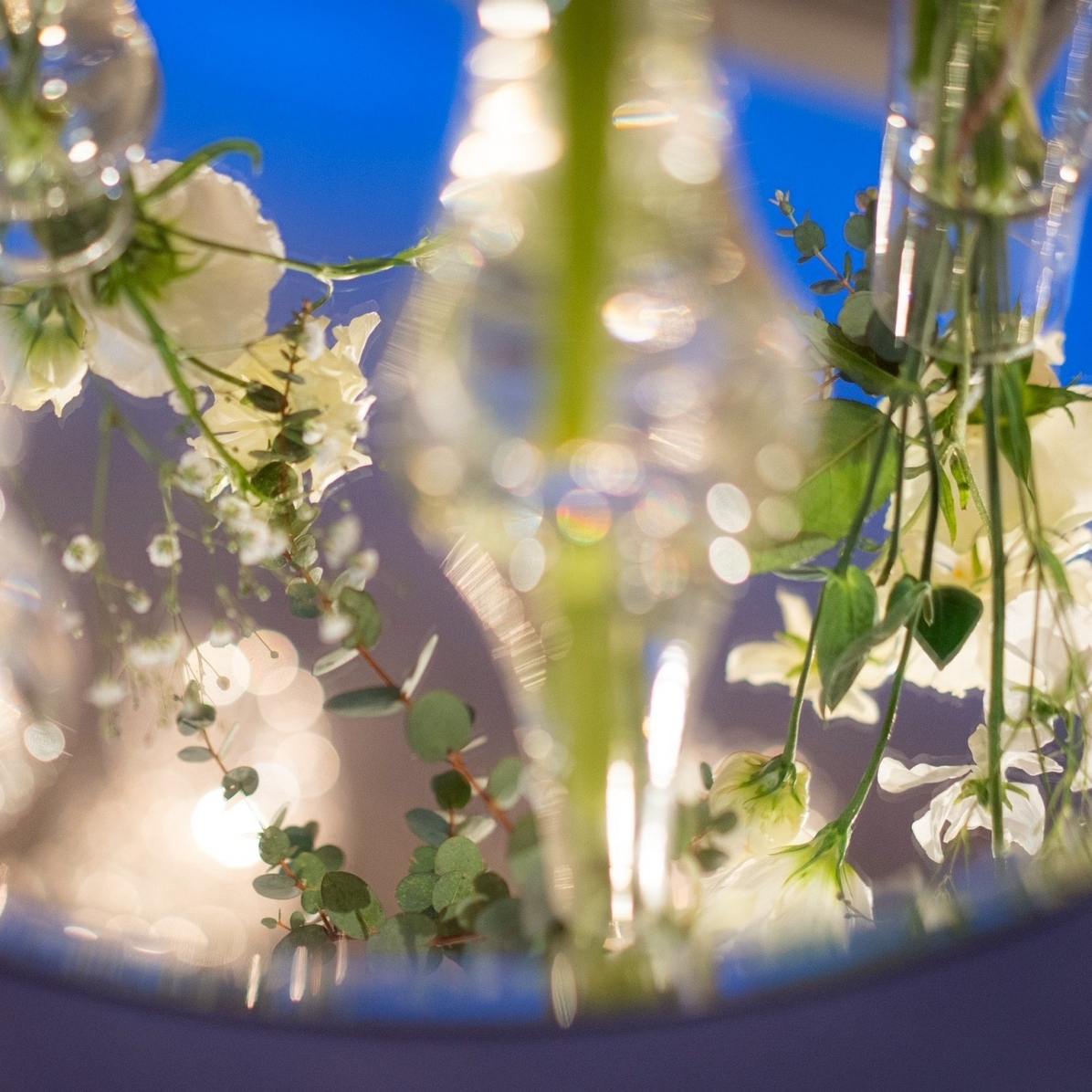 hiyori_0611さんのカバー画像