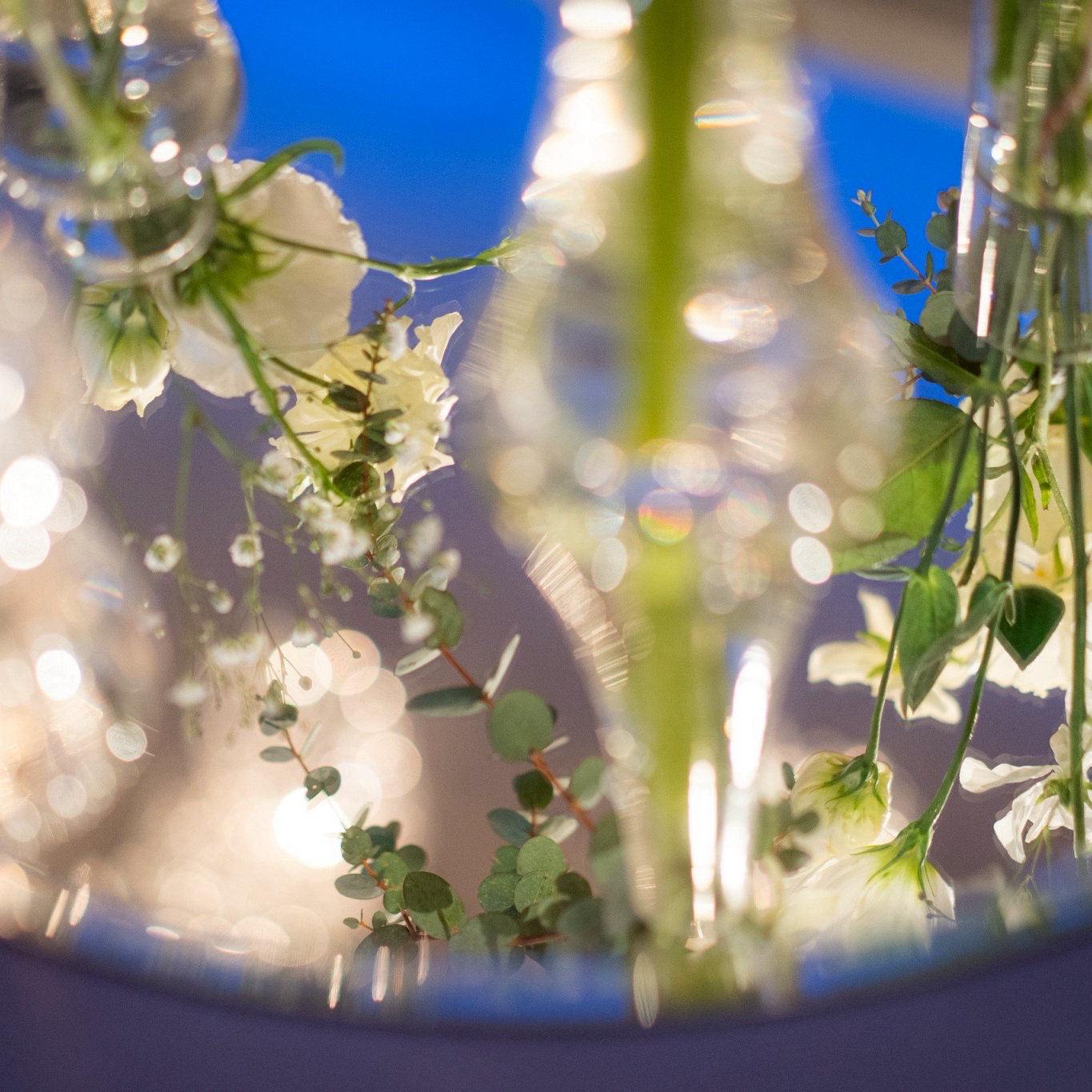 hiyori_0611さんのカバー画像