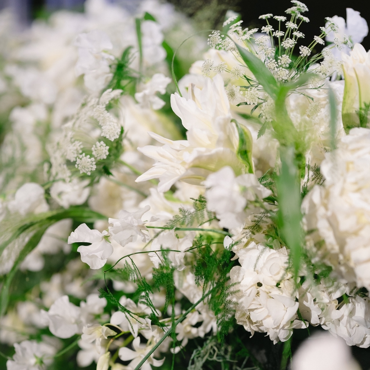 coconanatsさんのカバー画像