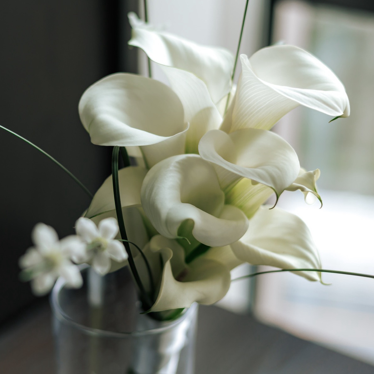 Arisaさんのカバー画像