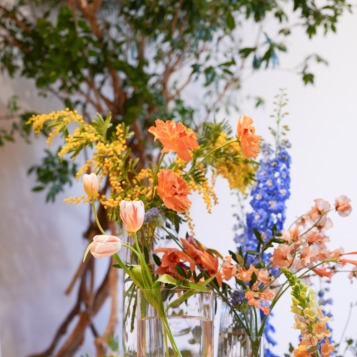 insarugramさんのカバー画像