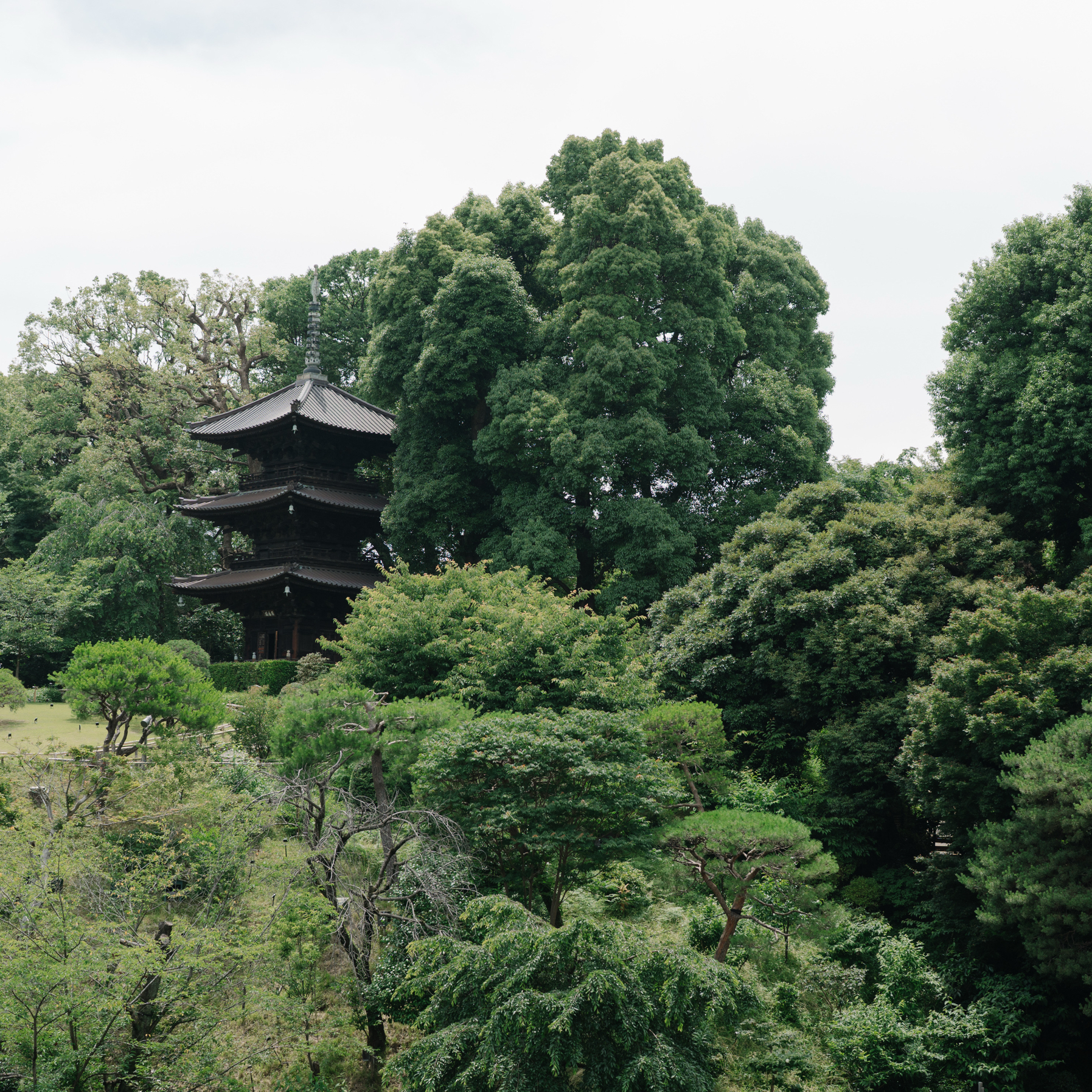 sakuraaaaaanさんのカバー画像