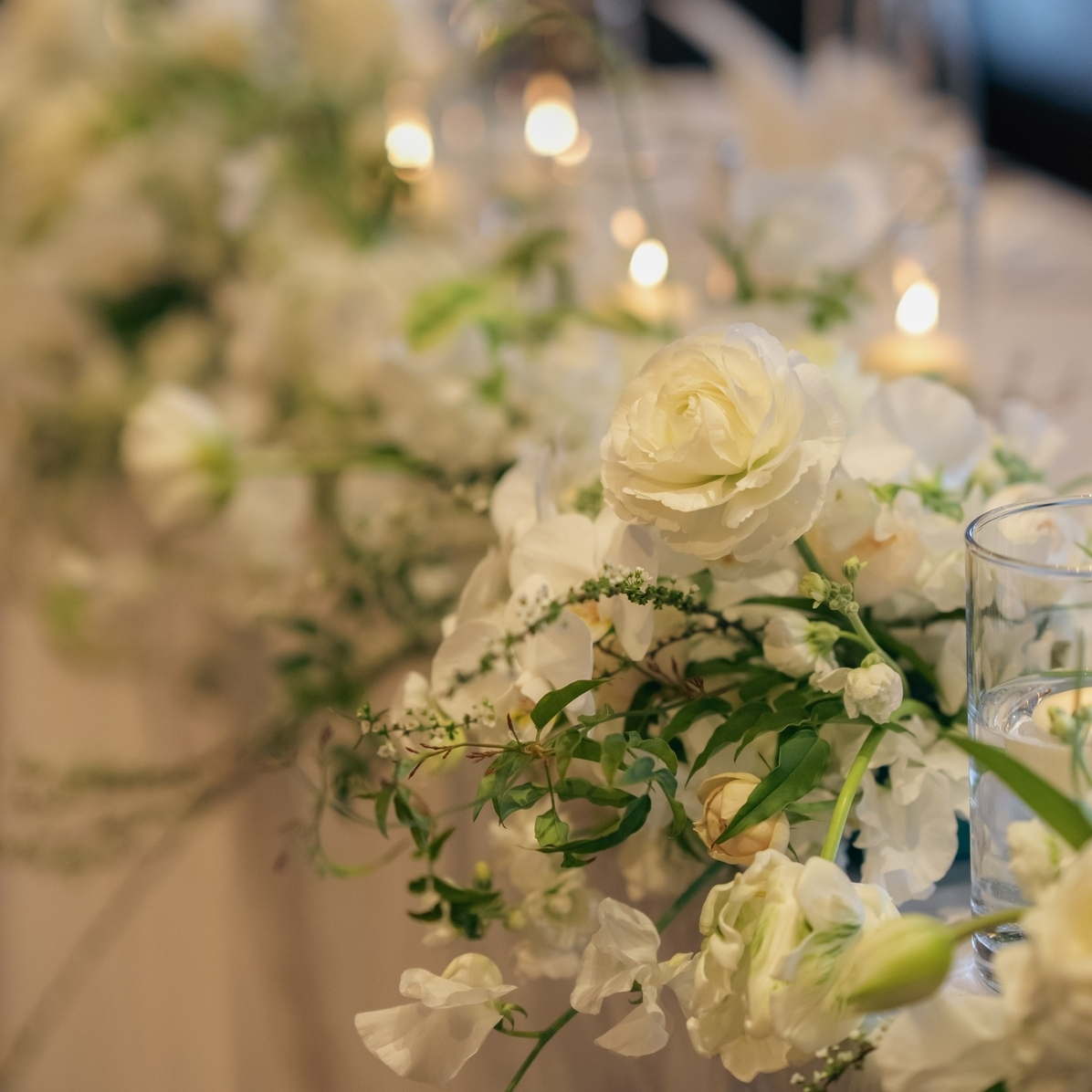 mi____1216さんのカバー画像