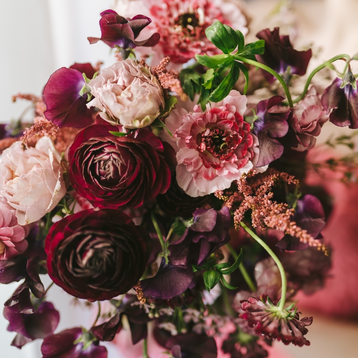 um___palaceさんのカバー画像