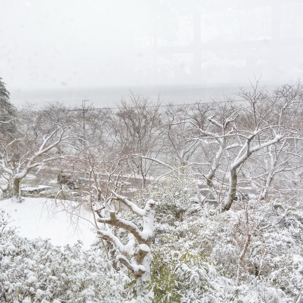 mさんのカバー画像