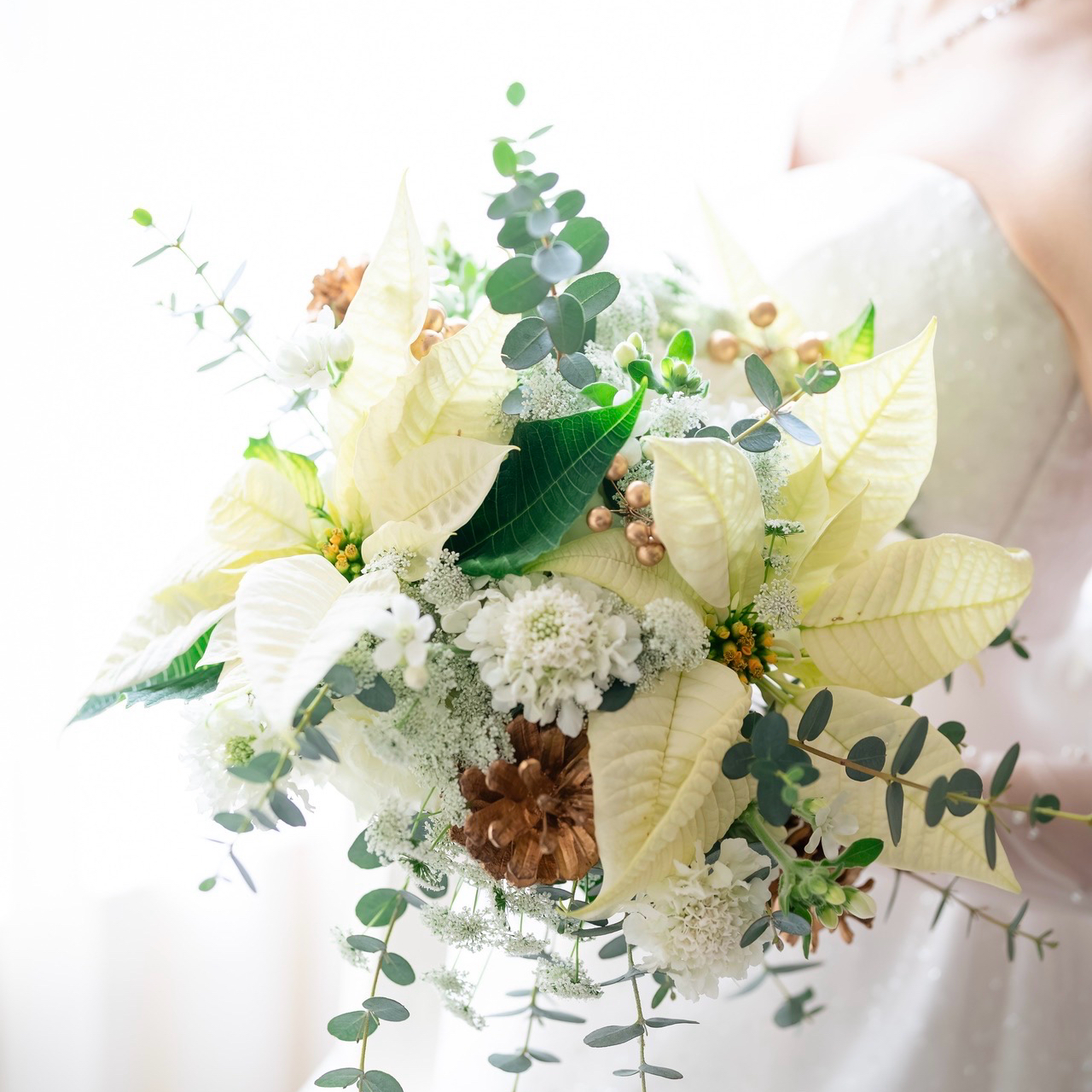 pon_chan_11さんのカバー画像