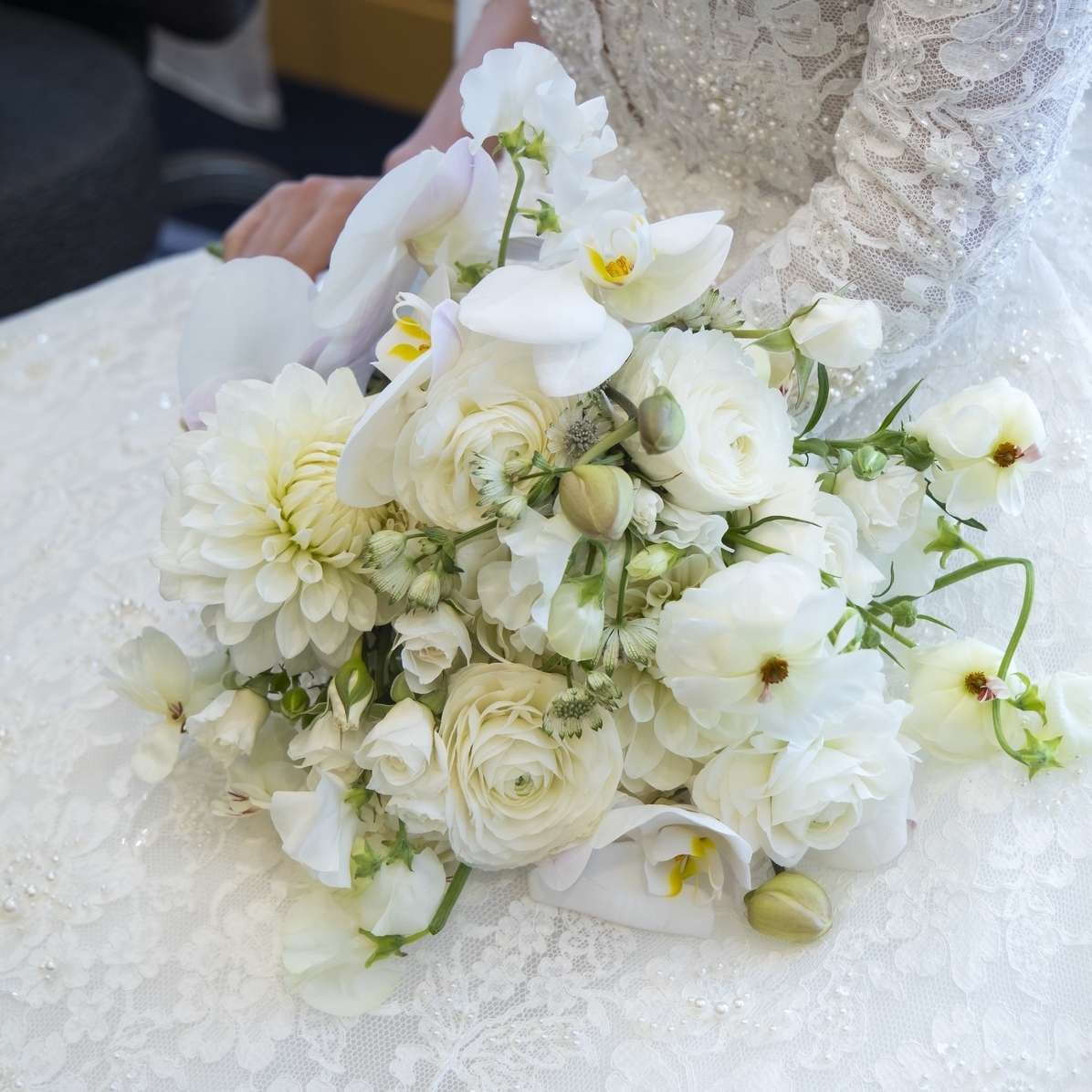 ringochan_narikeriさんのカバー画像