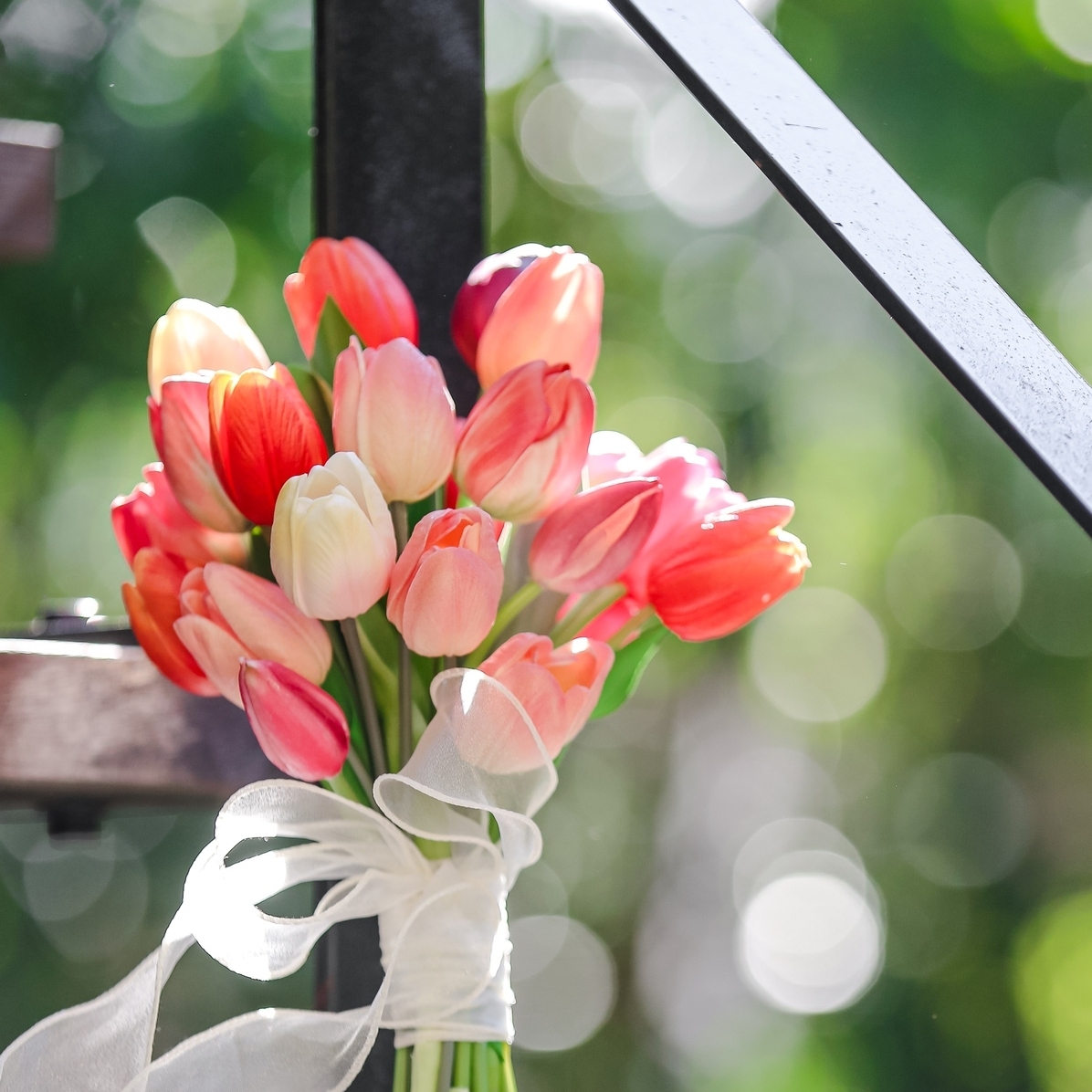 payu.wdさんのカバー画像