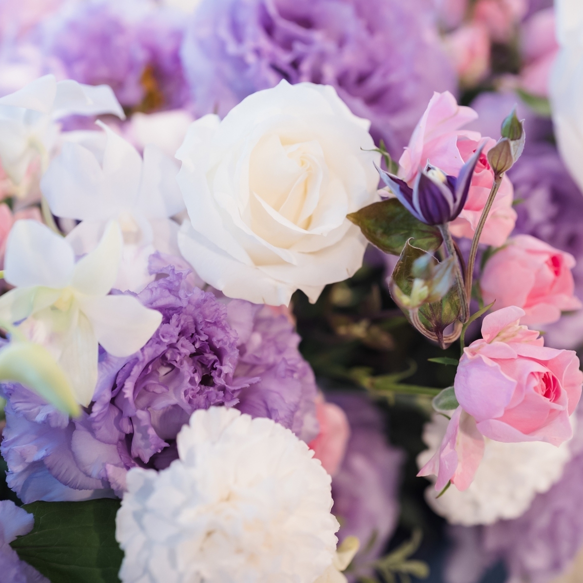 hima_wedding0524さんのカバー画像