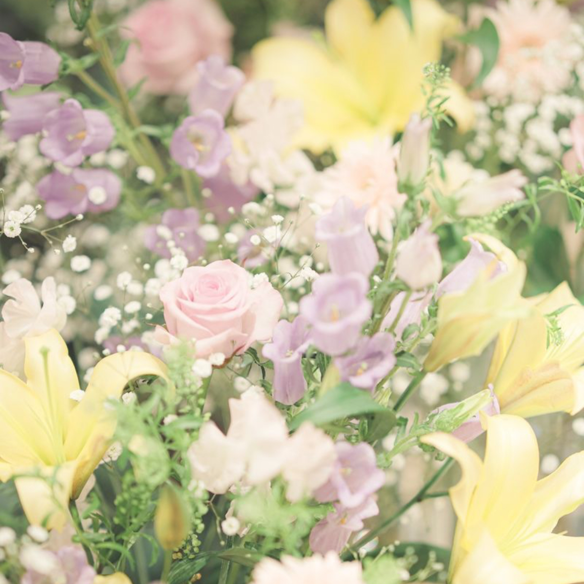 miki_weddingさんのカバー画像