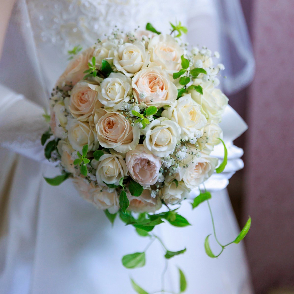 chii_weddingさんのカバー画像