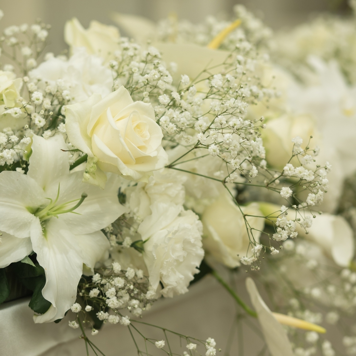 yuuka_stagramさんのカバー画像